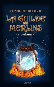 La guilde des Merlins. Vol. 2. L'héritier