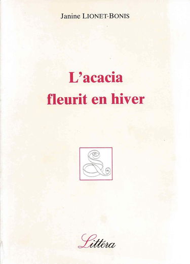 L'Acacia fleurit en hiver