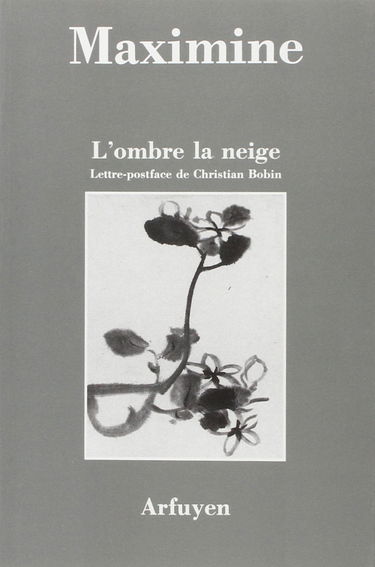 L'Ombre la neige