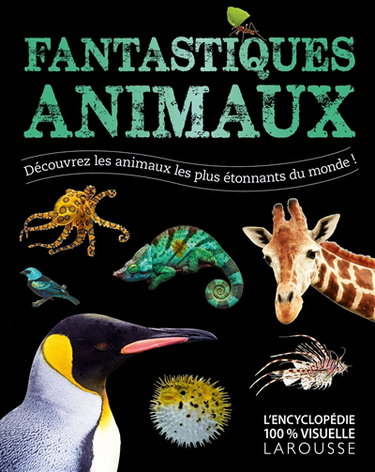 Couverture de Fantastiques animaux : découvrez les animaux les plus étonnants du monde ! par Vanina Pialot