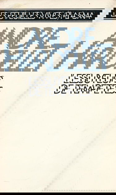 L'Essuyeur de tempêtes