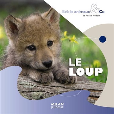Couverture de Le loup