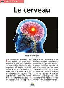 Le cerveau