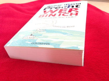 Couverture de Wer bin ich - und wenn ja wie viele?