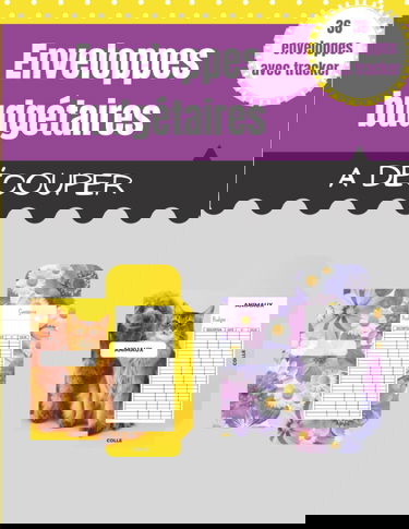 Enveloppes budgétaires à découper: 36 enveloppes en couleurs avec tracker pour la gestion de votre budget au quotidien avec la méthode des enveloppes