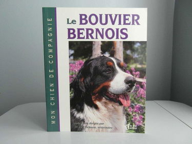 Le bouvier bernois