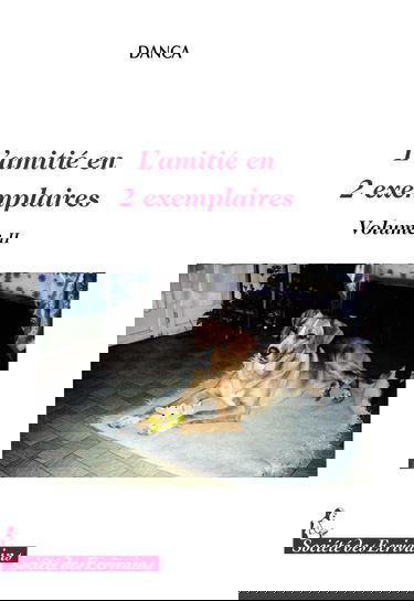 L'amitié en 2 exemplaires: Volume II