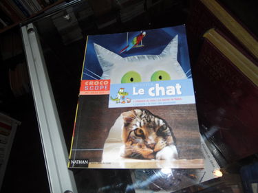 Le chat