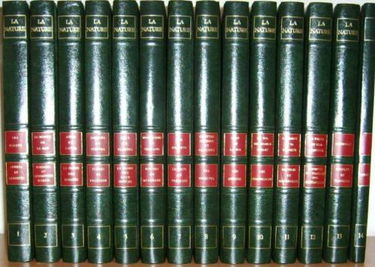 Les Forêts, arbres et arbustes (La Nature)