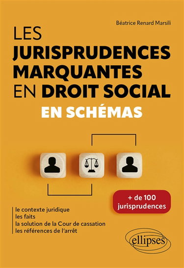 Les jurisprudences marquantes en droit social en schémas : le contexte juridique, les faits, la solution de la Cour de cassation, les références de l'arrêt : + de 100 jurisprudences