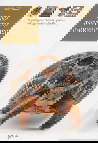 Les tortues terrestres : morphologie, choix des espèces, élevage, soins, hygiène...
