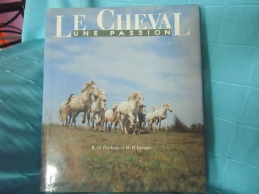 Le cheval - une passion - equitation sur poney - les classes de decouverte - equitation en club - sport intensif et formation - les concours - le tourisme equestre - le dressage - l'attelage - les loisirs sportifs - le cheval chez soi