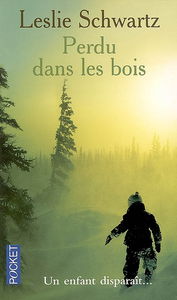Perdu dans les bois : un enfant disparaît...