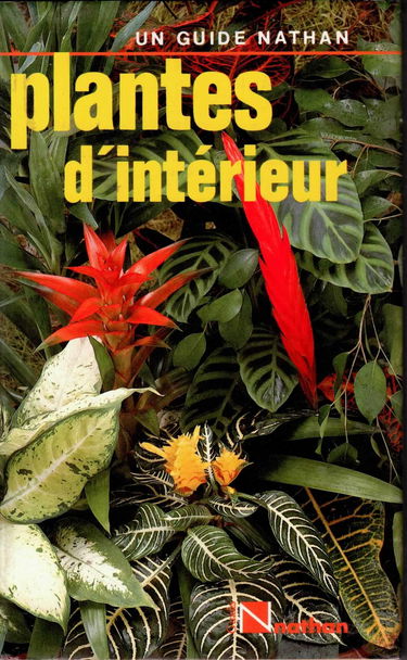 Plantes d'interieur
