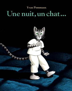 Une nuit, un chat...