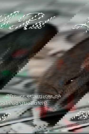 Le Rat: 70 trucs et astuces de radin au quotidien