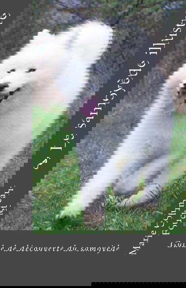 Le samoyede illustre: Guide de decouverte du samoyede