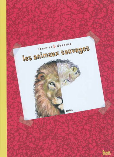 Les animaux sauvages : observe & dessine