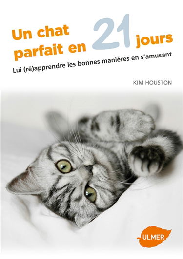 Un chat parfait en 21 jours : lui (ré)apprendre les bonnes manières en s'amusant