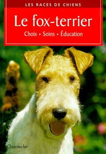 Fox-terrier