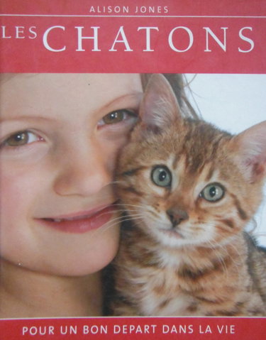 Couverture de Les chatons : pour un bon départ dans la vie