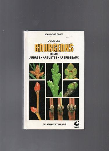 Guide des bourgeons : de nos arbres, arbustes, arbrisseaux