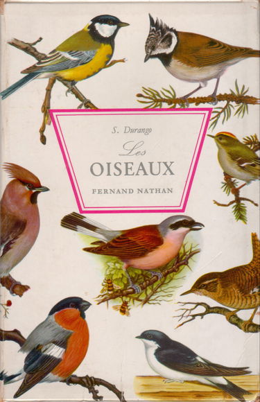 Les oiseaux