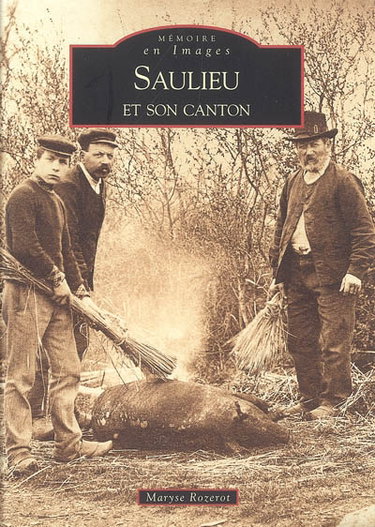 Saulieu et son canton