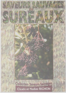 Cuisine de Saveurs Sauvages de Sureaux