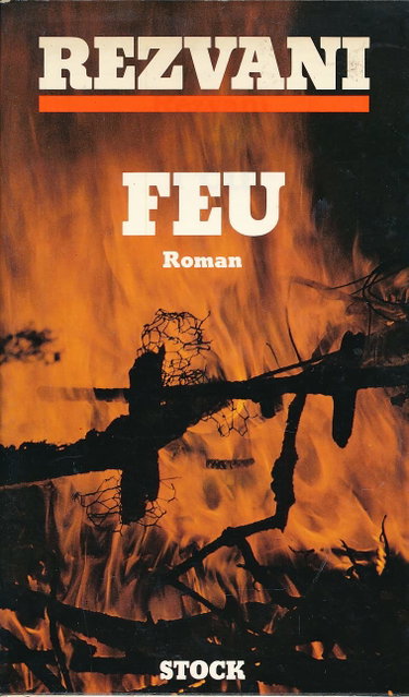 Couverture de Feu