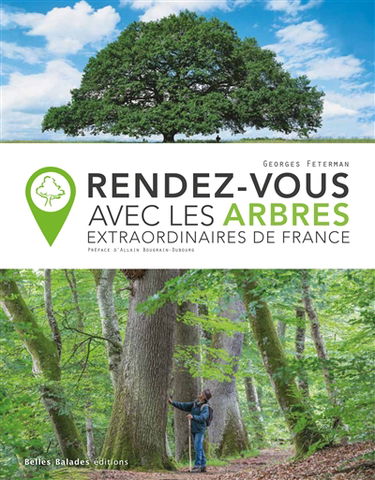 Rendez-vous avec les arbres extraordinaires de France
