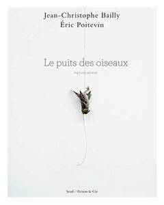 Le puits des oiseaux : nature morte