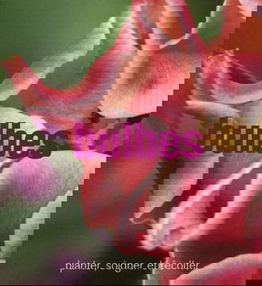 Bulbes : planter, soigner et récolter