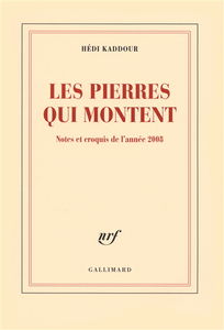 Les pierres qui montent : notes et croquis de l'année 2008