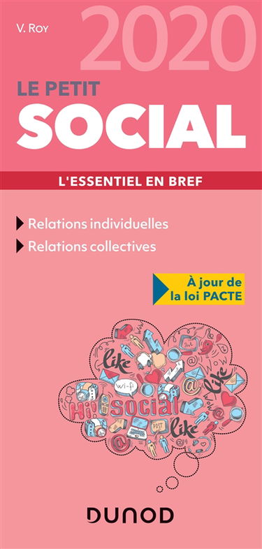 Le petit social 2020 : l'essentiel en bref