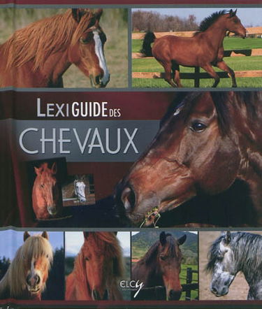 Lexiguide des chevaux