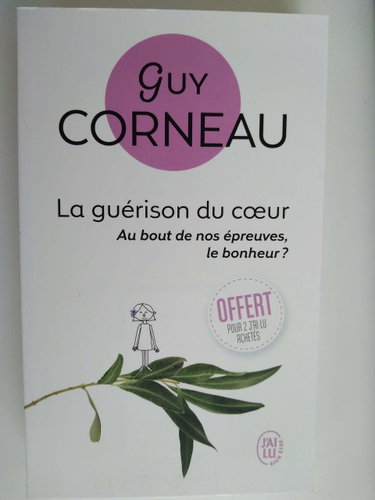 Couverture de prime op été 2019 la guerison du coeur - corneau