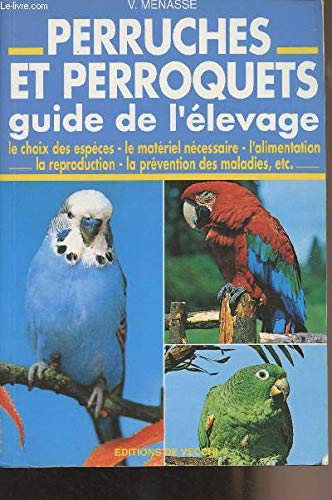 Perruches et perroquets : comment les élever et les soigner chez soi