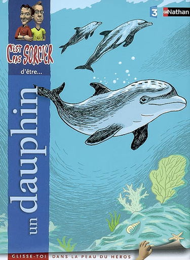 Un dauphin