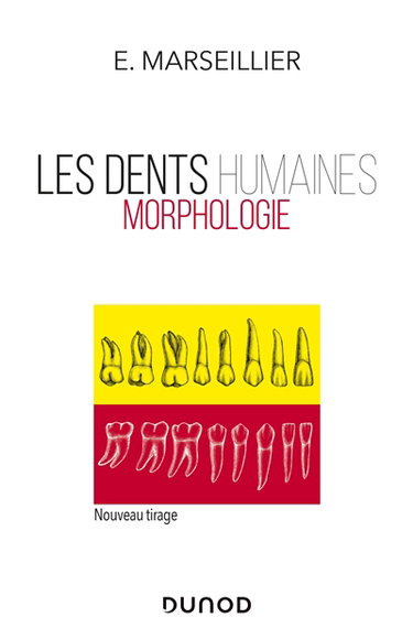 Couverture de Les dents humaines : morphologie