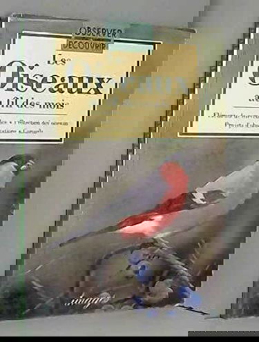 Les Oiseaux Au Fil Des Mois