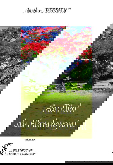 Au pied du flamboyant