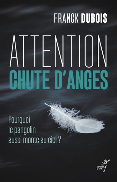 Attention chute d'anges : pourquoi le pangolin aussi monte au ciel ?
