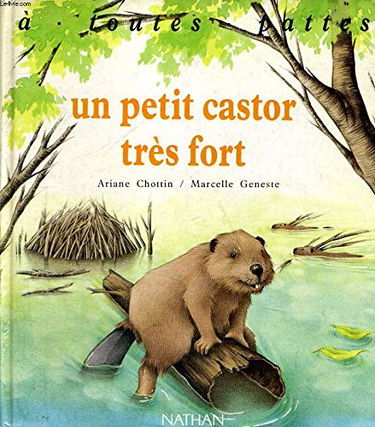 Un Petit castor très fort