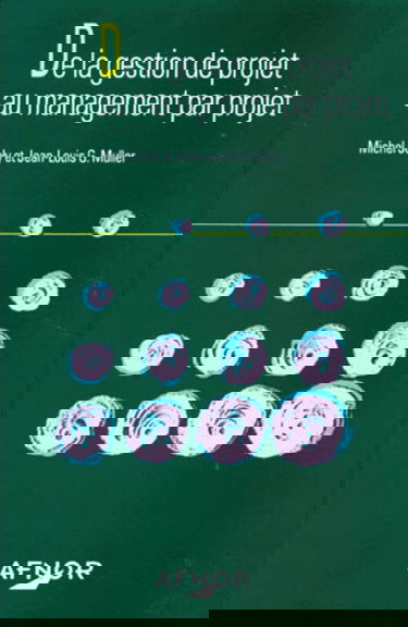 De la gestion de projet au management par projet : maîtriser les risques d'une organisation transversale