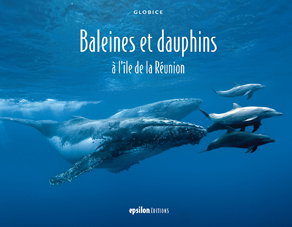 Couverture de Baleines et dauphins à l'île de la Réunion