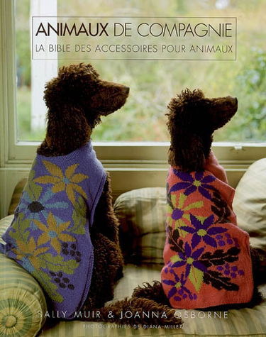 Animaux de compagnie : la bible des accessoires pour animaux