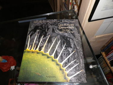 Les Plantes carnivores : des pièges au détour de l'image