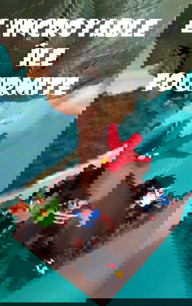 L'incroyable île Fourmite