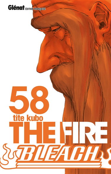 Bleach. Vol. 58. The fire